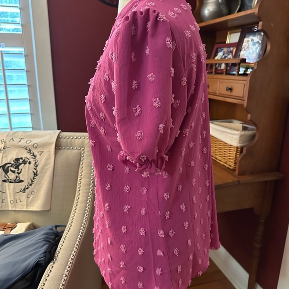 Pink Puff Sleeve Ruffled Mandarin Collar Blouse - Picture 3 of 8